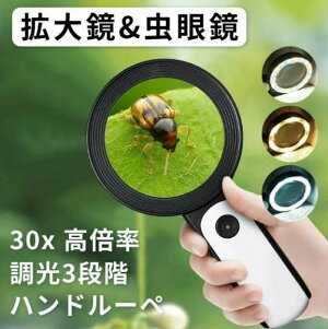 30{ { g勾 LEDCgt 30{ ዾ [y { ₷ g僌Y 3iK [y 莝[y 18LEDCgt Ǐ[y ዾ y Ǐ ώ@ ΊӒ  