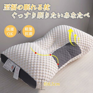 zedl   s[ _炩 Xg[glbN }N  񂱂 тh~ QԂ  ᔽ ܂ 