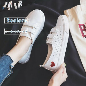 Xj[J[ fB[X Xb| n[g }WbNe[v [Jbg  X|[c b| r ʋC ₷ Ȃ Vv y ʋ ʊw   