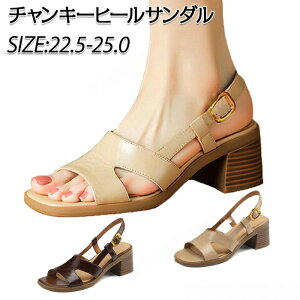 T_ fB[X  rWlX ItBX T_  `L[q[T_ 5cm XNGAgD PUv T_ fB[X I[vgD nCq[T_ T_ ʋ 