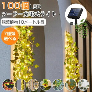 \[[Cg LEDC~l[VCg  10M C[Cg   zpl[d \[[Cg t[ Xe[NCg h O  K[fCg   NX