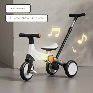 oXoCN LbNoCN XgC_[ qp]ԎO֎ qpO֎ pߋ Ƃ 艟_ y \ y gݗĊȒP 蕨 a v[g pߋ Vv