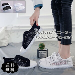 Xj[J[ fB[X bVV[Y [Jbg n R ʋCǂ C JWA ɂ ~ ʋ ʊw ėp ꂢ IV 