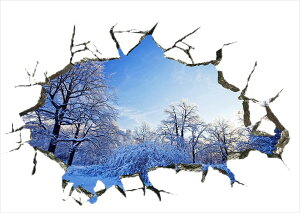 EH[XebJ[ ǌ i CeA XebJ[ DIY 3DGXebJ[ EH[XebJ[ lG̐X tEāEHE~ iEH[XebJ[ iA[gXebJ[ ʔ