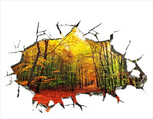 EH[XebJ[ ǌ i CeA XebJ[ DIY 3DGXebJ[ EH[XebJ[ lG̐X tEāEHE~ iEH[XebJ[ iA[gXebJ[ ʔ