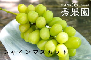yƒpz쌧Y VC}XJbg 2kgy󂠂zytwszyԂǂz