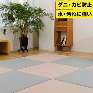 ZLXC  MIGUSA u tA AoX^[ 󒍐Y pl 1 I[_[ [2TԑOてy[J[izy//ԕiszyʑvZz11ȉ͖