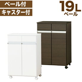 【送料無料】カウンターとしても使える ダイニングダストボックス 2ドア フタ付きペール2個（19L×2個） キャスター付き 引き出し チェスト 収納 ゴミ箱 ごみ箱 ※【メーカー直送品】【代引/同梱/返品不可】【個別送料計算】【23703】【23705】