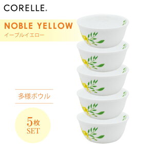 CORELLE R[ m[uCG[ l{E 5Zbg 3w\ EKX Čy ϋv Ռ ϑw KX  H pX^M T_ fU[g J[ M H Jt