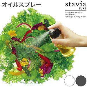 X^rANX ICXv[M  vbV ۂ肷h~ KX g₷   Vv P[X  {g   X RIS stavia LUXEyGGAR025 GGAR026z