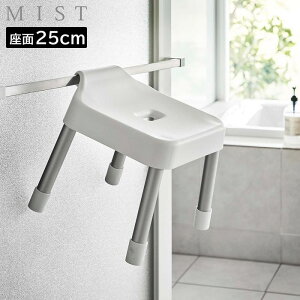 |CCX ~Xg SH25 R MIST ʍ 25cm zCg ubN 7305 7306 yamazaki