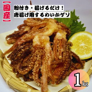   /y󂠂z Y gp CJQ\ t ~bNXTCY 1kg Ⓚ ȒP g邾 XCJ  g aH g ܂ CJ  Ⓚ g  Ɩp {茧