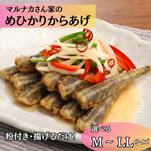 yYz ߂Ђ g Ⓚ Iׂ M ` LL TCY 1pbN t ȒP g邾 Y Yn o 炠 qJ ڌ  {  }iJ }iJCY ܂