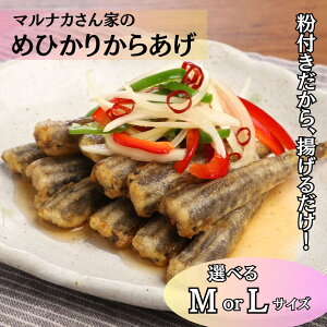 yyVX[p[SALE10OFFz 3980~ȏő / ߂Ђ g Ⓚ Iׂ M or L TCY 1pbN t ȒP g邾 Y Yn o 炠 qJ ڌ  { 