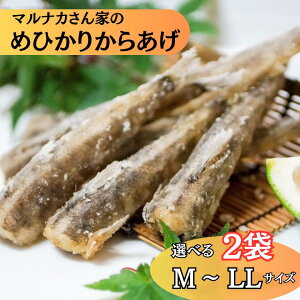 y 2܃Zbgz  / ߂Ђ g Ⓚ Iׂ 2 M ` LL TCY t ȒP g邾 Y Yn o 炠 qJ ڌ  {  }iJ