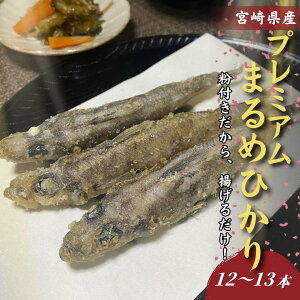 yViz  / ߂Ђ g Ⓚ v~A ܂߂Ђ 1pbN (12`13{) t ȒP g邾 Y Yn o 炠 qJ ڌ  {  }iJ
