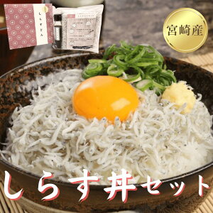 y{茧Yz yVX[p[SALE 10OFF 炷Zbg 5H 炷  ݖ  VX ߂ ` V VN Ⓚ {  Yn }iJ }iJCY Y l ̂ 