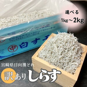 y{茧Yz 炷 1kg V H炷 TCYs 󂠂 炷 VX VN Ⓚ {  Yn }iJ }iJCY yz