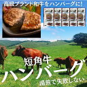 【国産和牛】短角牛 赤身 無添加 ハンバーグ 120g×6個セット温めるだけ 低脂肪 高タンパク 放牧牛 手造り 筋トレ ダイエット グラスフェッドビーフ グラスフェッドミート ギフト 岩手県産 湯煎 レンジ
