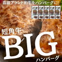 短角牛 BIG ハンバーグ150g×6個セット 大きいサイズ 温めるだけ 低脂肪 高タンパク 赤身肉 和牛 放牧牛 手づくり 筋トレ ダイエット グラスフェッドビーフ グラスフェッドミート ギフト 岩手県産 湯煎 レンジ
