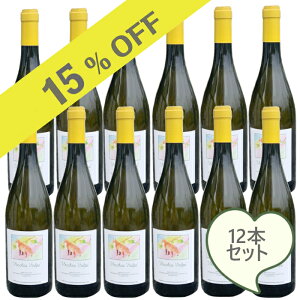 XJ[gE_XeBDOCGwFbLAEHyxDOCG ÌA Xp[NO C^AC 2022N