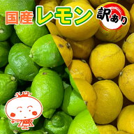 家庭用　愛媛県産レモン　10kg　マル南