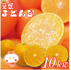 y󂠂zQY}hi 10kg@28@g}hiƓi