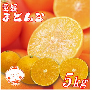 y󂠂zQY}hi 5kg@28@g}hiƓi