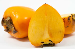 yQYz`   ` 10kg p  `p a` ƒp 󂠂 ʕ `pTt