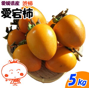 yQYz`   ` 5kg p  `p a` ƒp ʕ `pTt