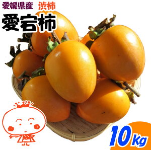 yQYz`   ` 10kg p  `p a` ƒp ʕ `pTt