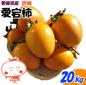 yQYz`   ` 20kg p  `p a` ƒp ʕ `pTt