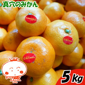LuhI Q^Ŷ݂5kg@悭ǂłw˂܂B