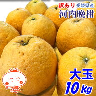 【訳あり】河内晩柑 「大玉」 10kg （みしょうゴールド・美生柑・愛南ゴールド・宇和ゴールド・ジューシ…