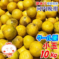 【クール便】【訳あり】河内晩柑 「小玉」 10kg （みしょうゴールド・美生柑・愛南ゴールド・宇和ゴール…