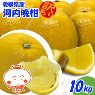 【訳あり】河内晩柑　10kg （みしょうゴールド・美生柑・愛南ゴールド・宇和ゴールド・ジューシーオレン…