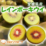 【訳あり】9月下旬頃から発送します　愛媛県産　希少！レインボーキウイ 2kg