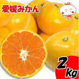 【訳あり】愛媛みかん 2kg 1箱 マル南