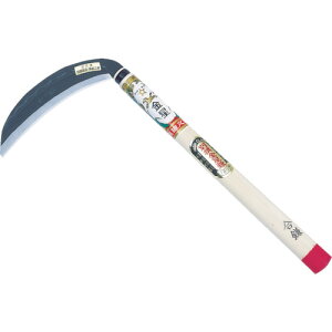 GS@@ʐ@180~y110233z ̔PʁF1(萔F-)JAN[4951167102334](GS Epi) L{Vijy05P03Dec16z