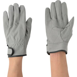 쐼@lHvO[uy2968LLz ̔PʁF1o(萔F-)JAN[4906554080061](쐼 vElHv) 쐼HƁijy05P03Dec16z