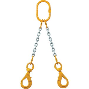 ۈ@`F[XO100iAC^Cvjy2MFFBKE6.3z ̔PʁF1(萔F-)JAN[4937510941409](ۈ `F[XO) ۈ`FubNijy05P03Dec16z