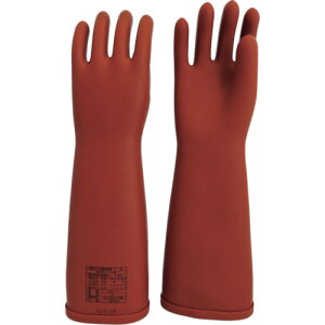 ^x@dCpSܕʁ@^y530z ̔PʁF1o(萔F-)JAN[4562395860219](^x ≏) nHƁijy05P03Dec16z