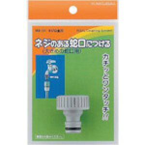 JN_C@lW20y568111z ̔PʁF1(萔F-)JAN[4972353006380](JN_C z[X) ijJN_Cy05P03Dec16z