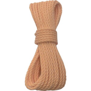 ^J@[v@KP[v@5×10myA56z ̔PʁF1(萔F-)JAN[4903599020526](^J [v) ij^JCNy05P03Dec16z