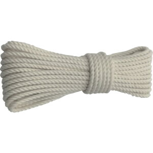 ^J@[v@ȃ[v3cŁ@5×10myA60z ̔PʁF1(萔F-)JAN[4903599020564](^J [v) ij^JCNy05P03Dec16z