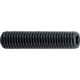 TRUSCO　六角穴付止めネジ　サイズM3X5　85本入【B310305】 販売単位：1PK(入り数：85本)JAN[4989999065923](TRUSCO 六角穴付ボルト) トラスコ中山（株）【05P03Dec16】