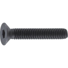 TRUSCO　六角穴付皿ボルト　黒染め　サイズM3X5　60本入【B730305】 販売単位：1PK(入り数：60本)JAN[4989999068016](TRUSCO 六角穴付ボルト) トラスコ中山（株）【05P03Dec16】