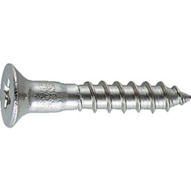 TRUSCO　皿木ねじステンレス　M3．8X25　65本入【B603825】 販売単位：1PK(入り数：65本)JAN[4989999060812](TRUSCO ドリルねじ) トラスコ中山（株）【05P03Dec16】