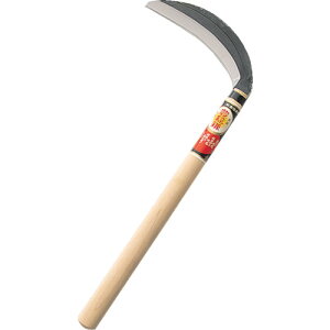 L@RАn195mmyHT0430z ̔PʁF1(萔F-)JAN[4543983704306](L Epi) ijĹy05P03Dec16z