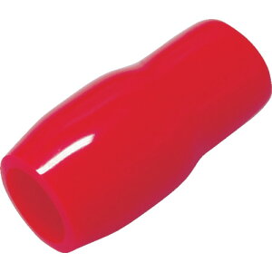 i쏤H@TCVLbviԁjyTCV12Rz ̔PʁF1(萔F100)JAN[4560448040021](i쏤H ڑ[q) i쏤Hijy05P03Dec16z